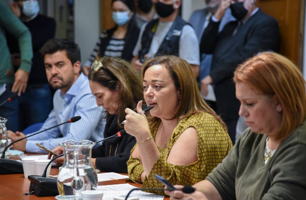 Quién es Cecilia Moreau, la mujer que ocupará el lugar de Massa en Diputados