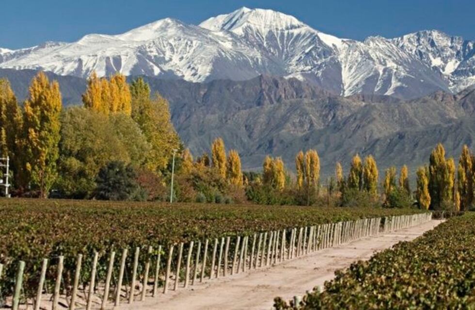 Mendoza post pandemia: Fernández Sagasti y Bodegas de Argentina analizaron cómo potenciar al sector