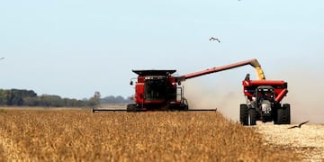 FILE PHOTO: Soybean plants are harvested at a field in the city of Chacabuco, Argentina, April 24, 2013\u002E   REUTERS/Enrique Marcarian/File Photo