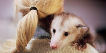 Cómo saber cuándo es el momento de decirle \