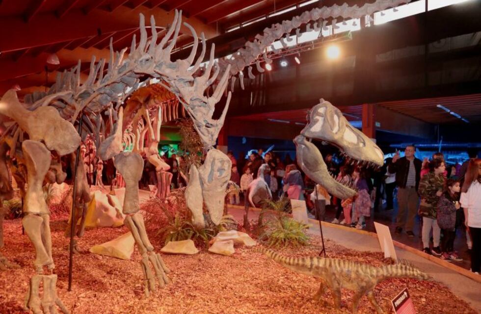 "Misión Ciencia" llega a Neuquén para Semana Santa