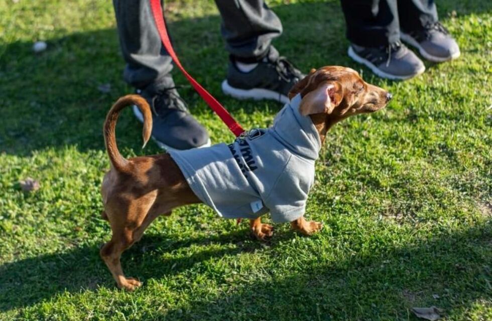 Segunda  "Salchijuntada" en Punta Alta