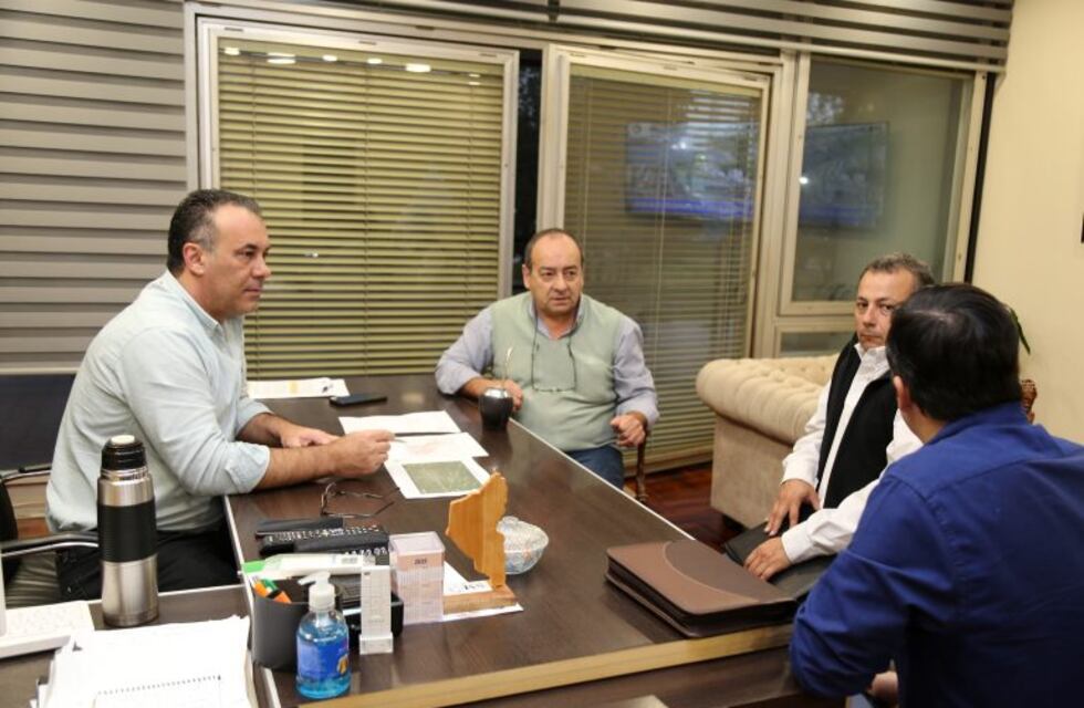 La manga de langostas no afectó a cultivos en el Chaco