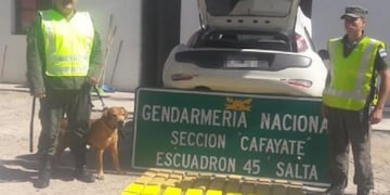 Droga en Cafayate (Gendarmería Nacional)