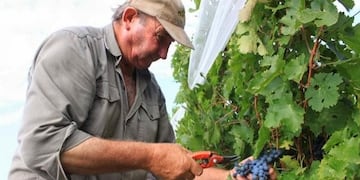 Créditos para productores vitivinícolas\u002E