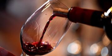 Estudiarán los efectos de la suplementación de la dieta occidental\u002E