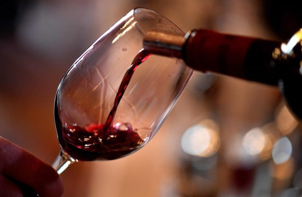 Científicos argentinos buscan validar los beneficios del vino en la dieta