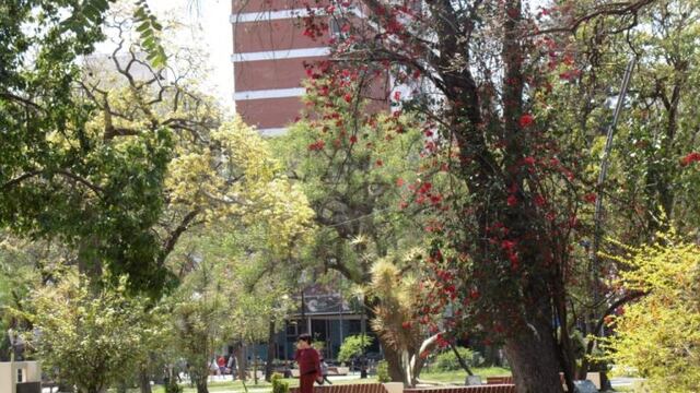 Santiago del Estero\u002E Foto: Mariana Herrera\u002E