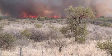 Incendios Forestales en San Luis