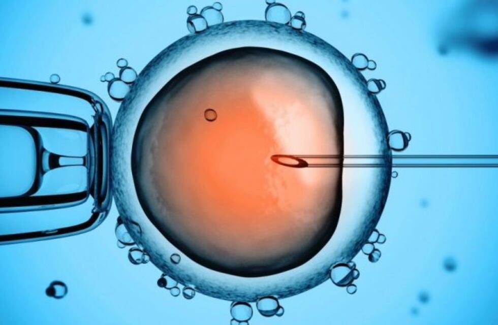 Confirman que el exdirector de un banco de esperma es el padre de 49 personas en Holanda