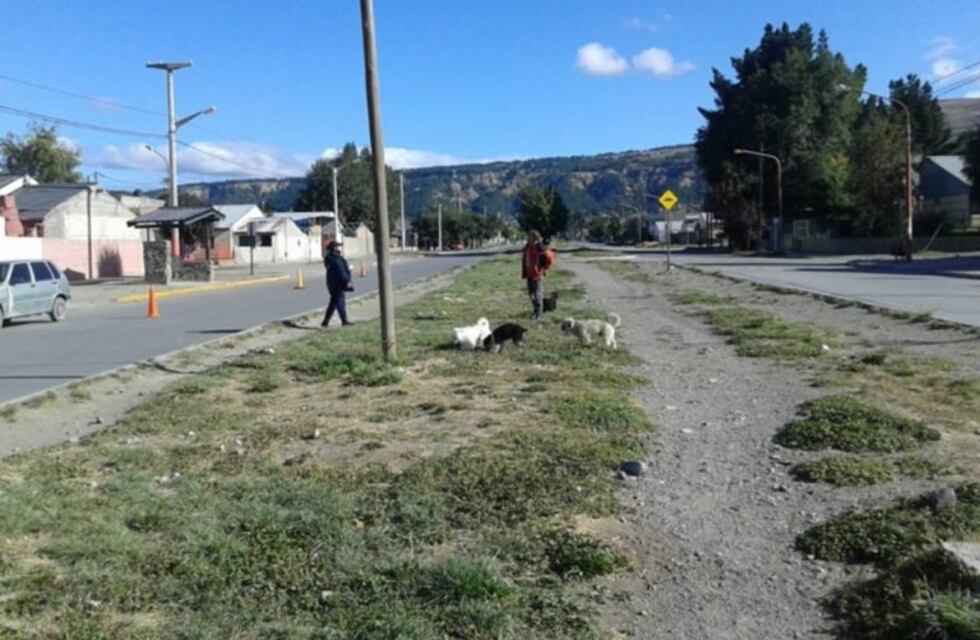 Entre los detenidos por incumplir la cuarentena hay un empleado policial