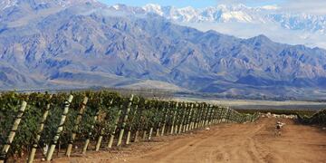 Finca Piedra Infinita de Zuccardi en Valle de Uco\u002E