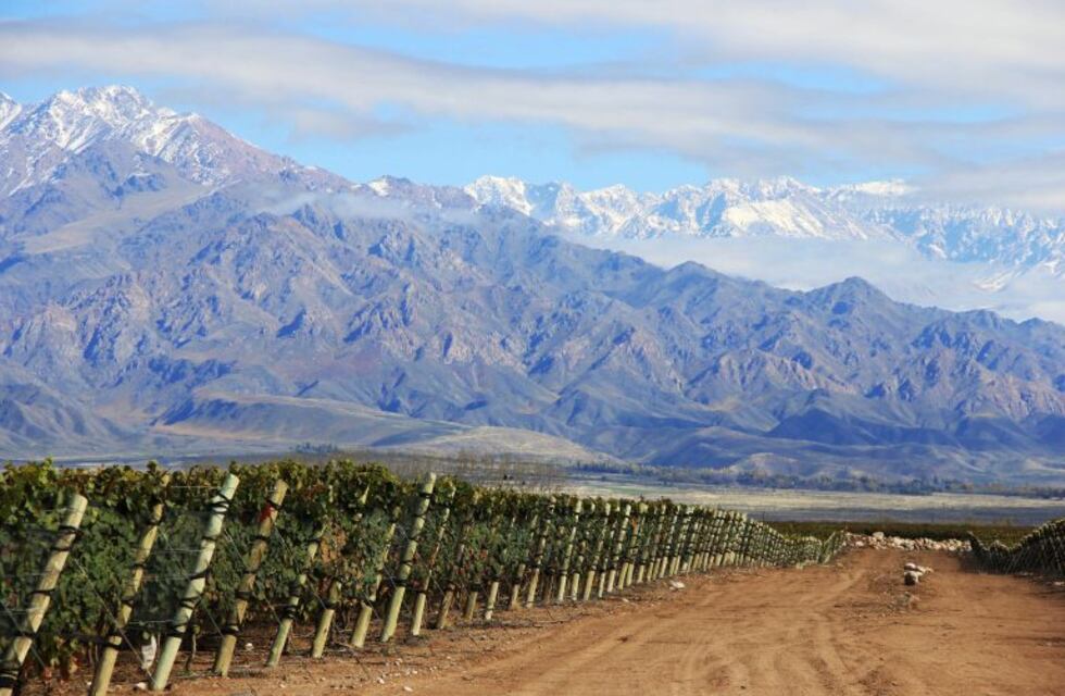 Un vino mendocino obtuvo el máximo puntaje en una lista prestigiosa