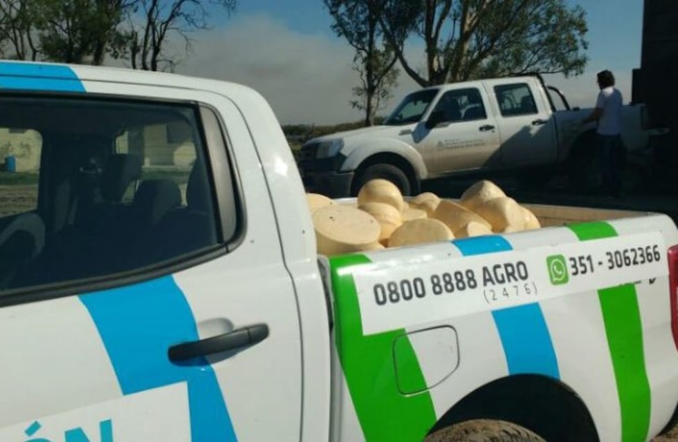 Laspiur: secuestraron casi mil kilos de queso por riesgo sanitario