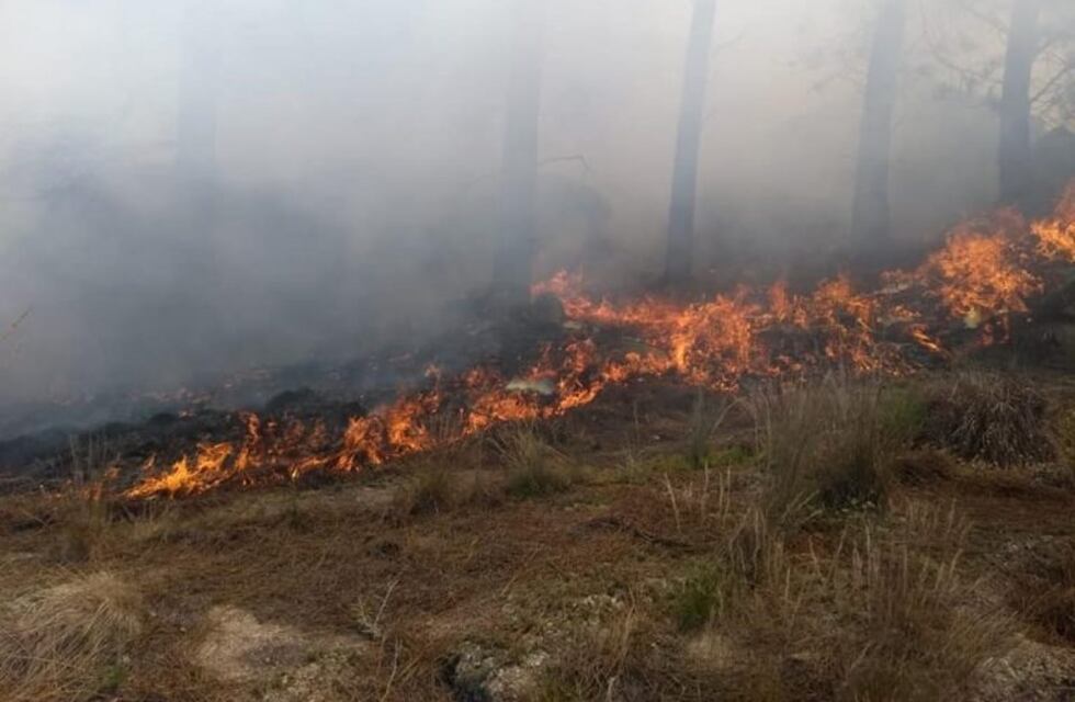 Continua activo un foco de incendio en el sur de Calamuchita