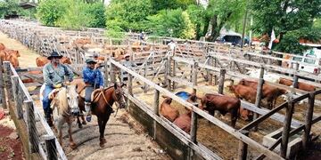 Fiesta Provincial del Ganadero
