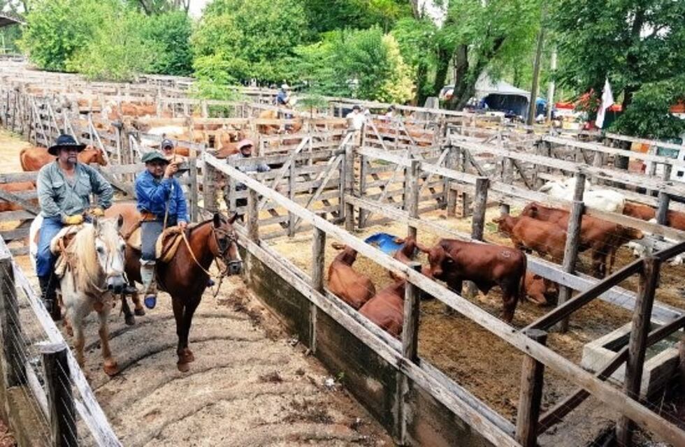 Comienza la 30ª Fiesta Provincial del Ganadero en Montecarlo