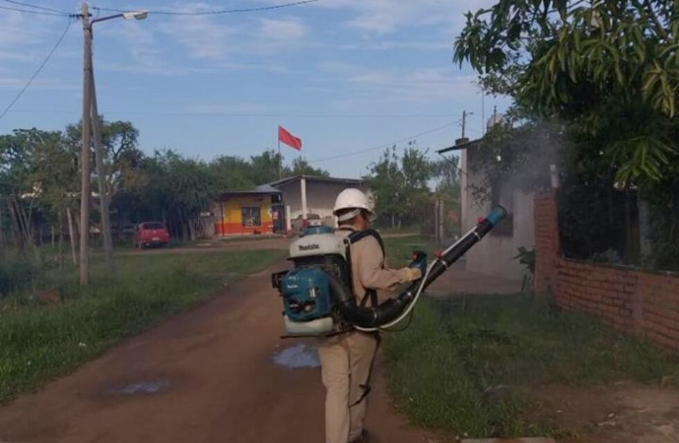 Dengue: detectaron un nuevo caso en el sur de Resistencia