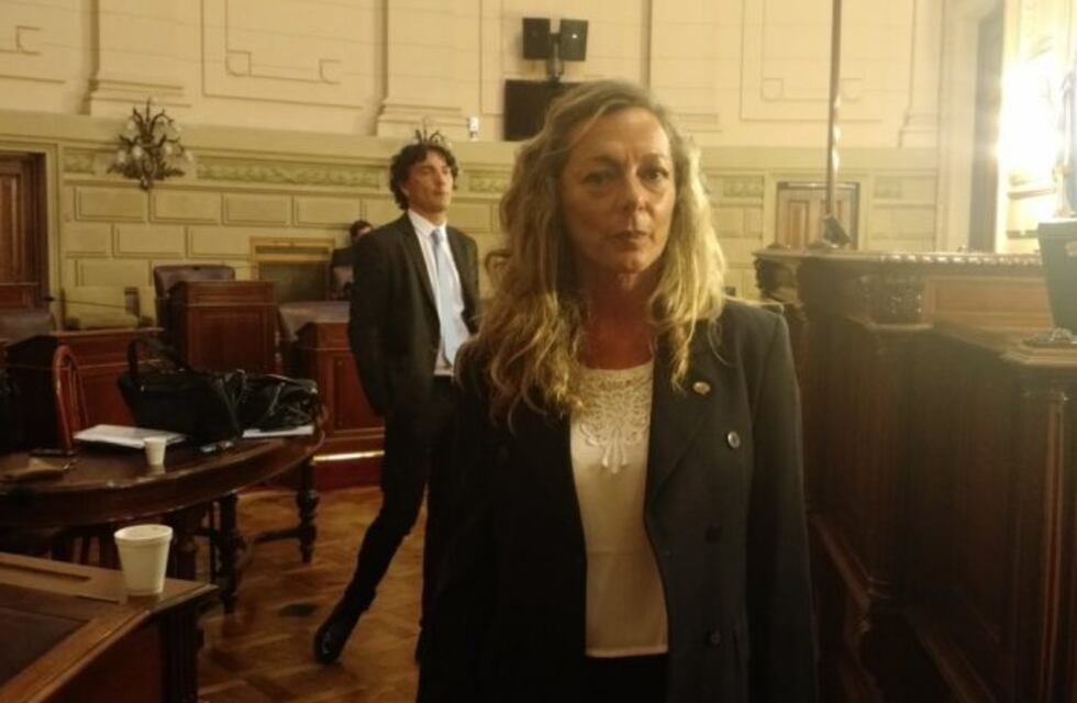 "Fueron malversadas mis intenciones", aseguró la aspirante a defensora general de Santa Fe