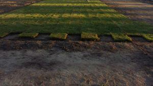 Cambiaron el césped del Kempes.