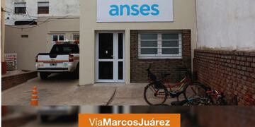 anses msjz