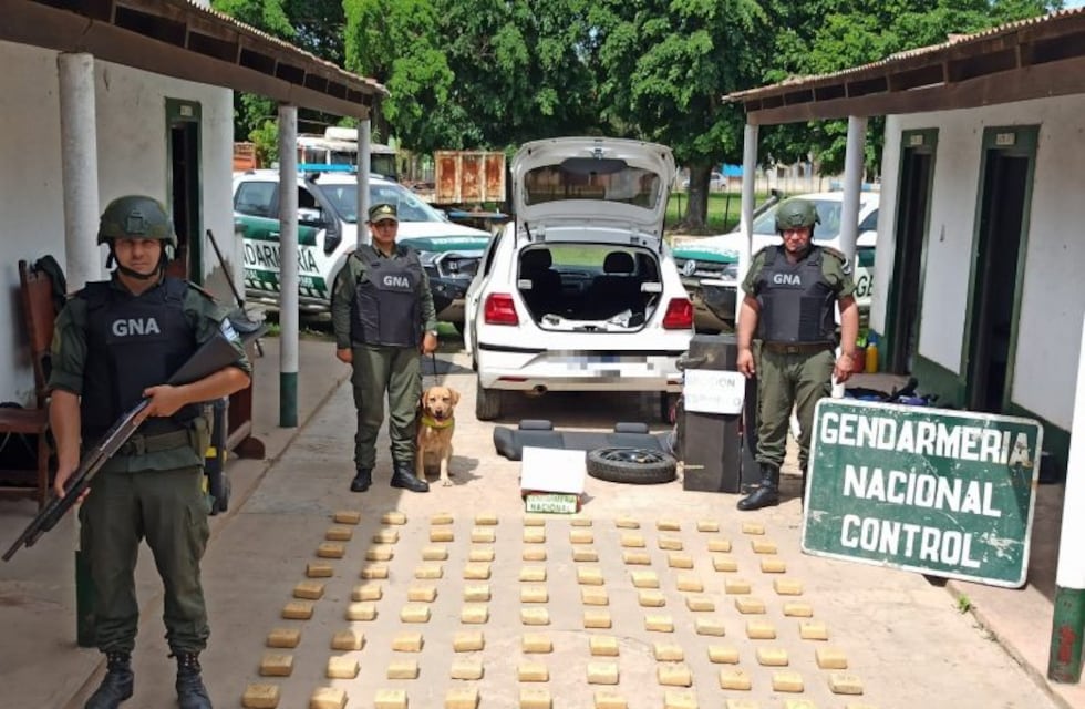 El Espinillo: casi 50 kilos de marihuana valuada en más de 4 millones de pesos