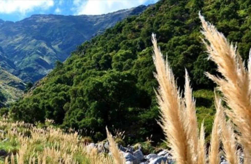 El clima este viernes 15 de diciembre y el fin de semana en San Luis