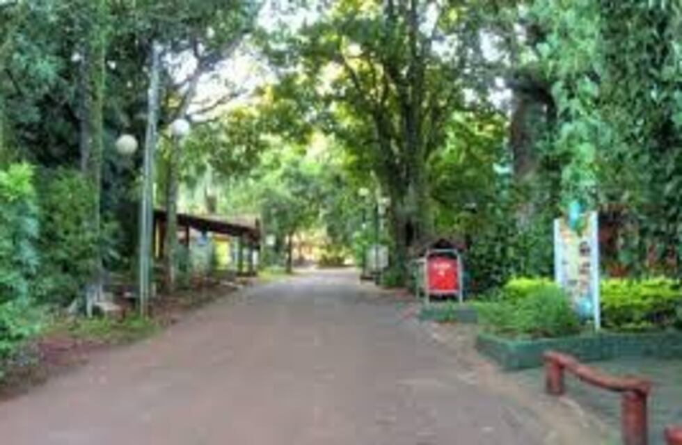 Se aprobaron las caminatas recreativas en Oberá