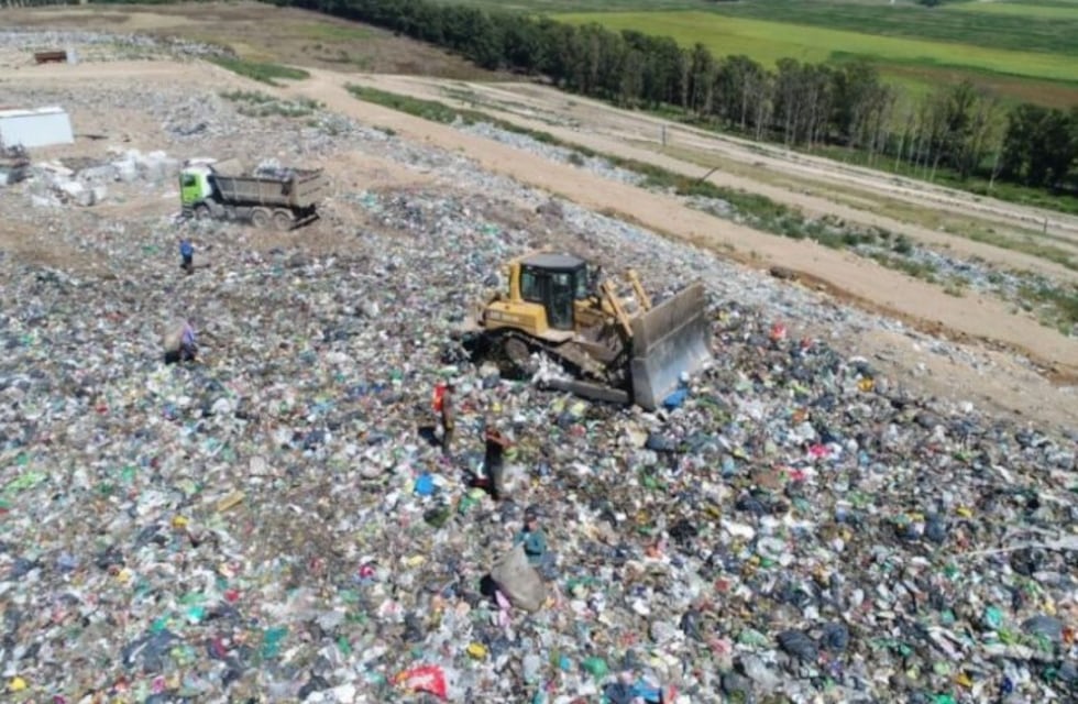 Encontraron los restos de un centenar de caballos en el basural