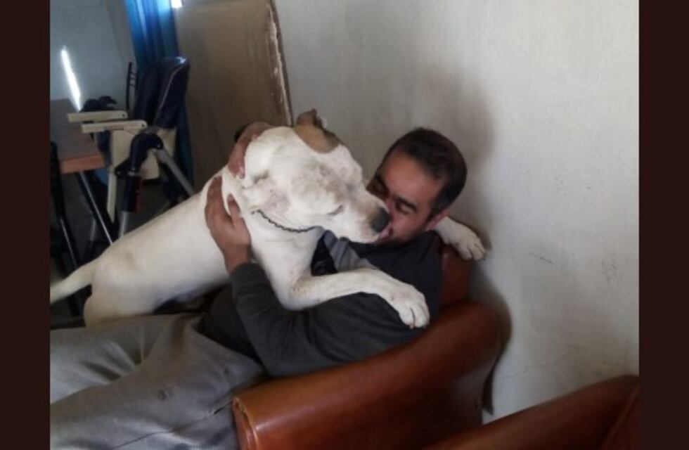 "Lo criamos desde los 45 días y nunca había mordido a nadie", aseguran los dueños del dogo