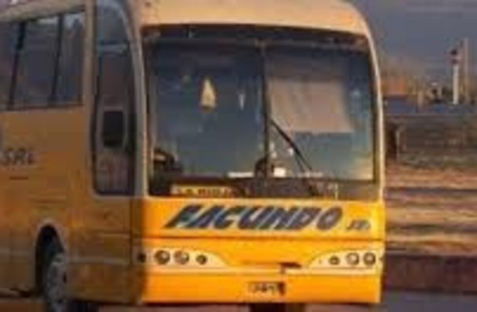 El gobierno sale a controlar a colectivos que tienen mas de 15 años de antigüedad