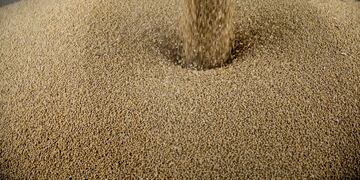 Soybeans are loaded into a truck at a grain elevator in Ohio, Illinois, U\u002ES\u002E, on Tuesday, June 19, 2018\u002E A rout in commodities deepened as the threat of a trade war between the world's two biggest economies intensified, hitting markets from steel to soybeans\u002E Soybean futures were among the biggest losers, falling as much as 7\u002E2 percent to the lowest in more than two years\u002E Photographer: Daniel Acker/Bloomberg eeuu  cosecha de soja amenaza de guerra comercial entre las dos economías más grandes del mundo caida del producto