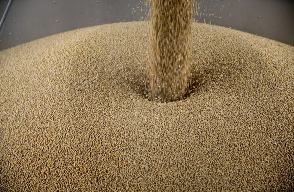 La Bolsa rosarina aumentó en un millón de toneladas la previsión de producción de soja