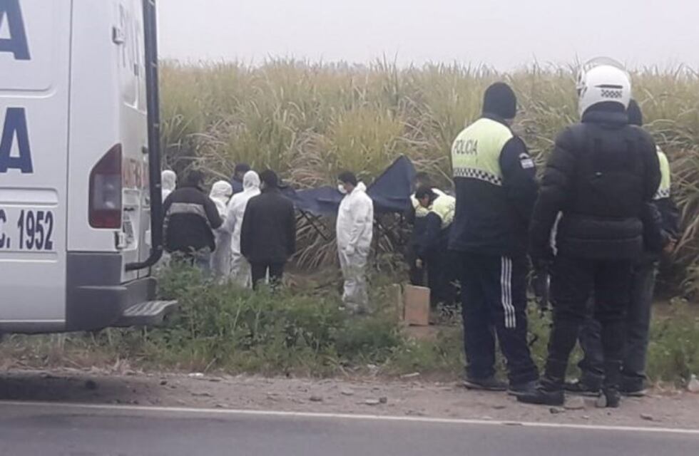 Hallaron el cuerpo de Priscila Paz en un cañaveral de San Pablo