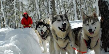 San Martín de los Andes