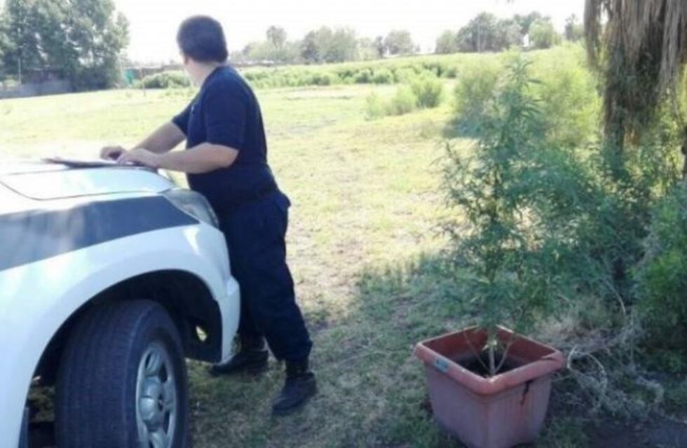 Terrible: los maniataron y le clavaron un destornillador para robarles