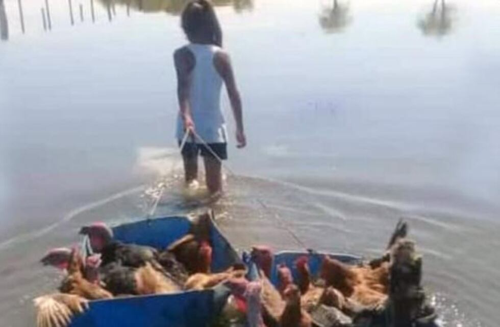 Una niña de 8 años hizo un bote con un tacho de plástico para salvar a sus animales de la inundación