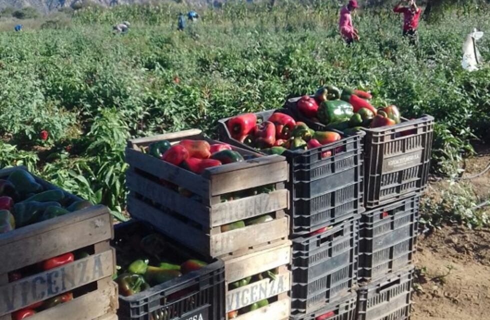 El Fonaf reclamó revertir el abandono que sufre Agricultura Familiar en Bariloche