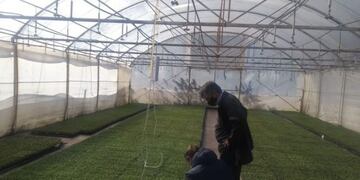 Gob\u002E de Catamarca\u002E