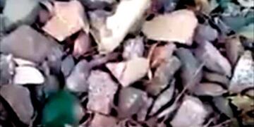 El perro fue atado a una vía en la localidad de Monte Cristo hasta que pasó el tren y lo mató\u002E