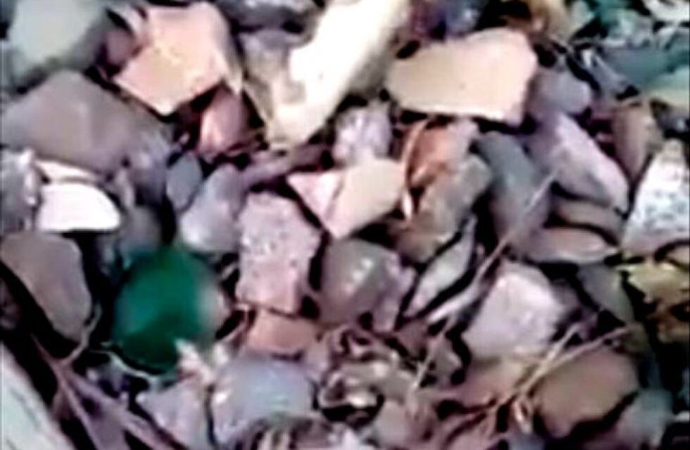 Horror en Monte Cristo: ataron un perro a las vías para que lo pisara un tren