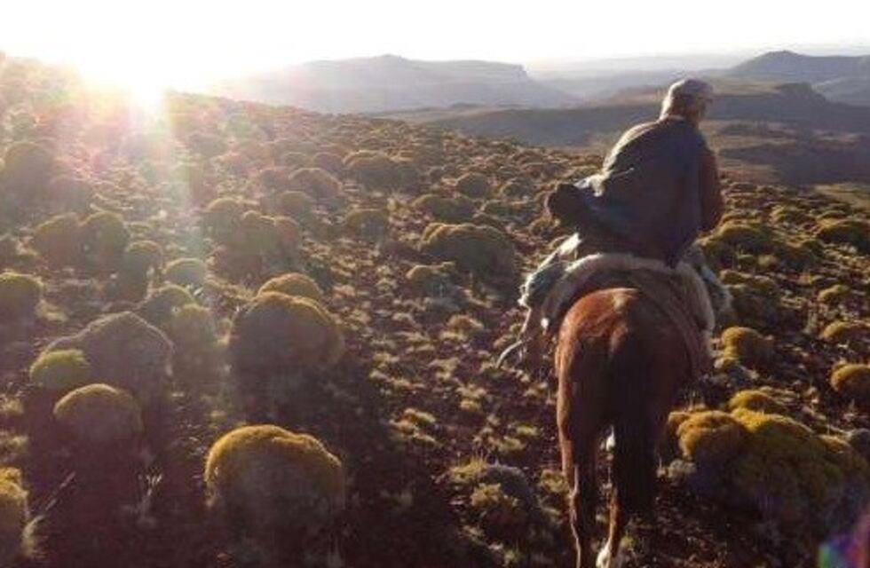 Mendoza está entre las provincia que más tierras vendió a extranjeros