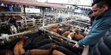 Mercado de Liniers - REUTERS - Agustin Marcarian Photo