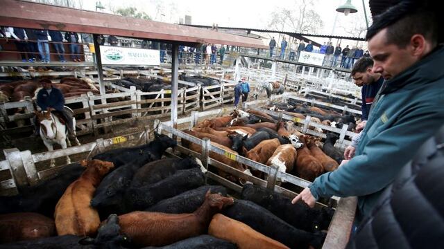 Mercado de Liniers - REUTERS - Agustin Marcarian Photo