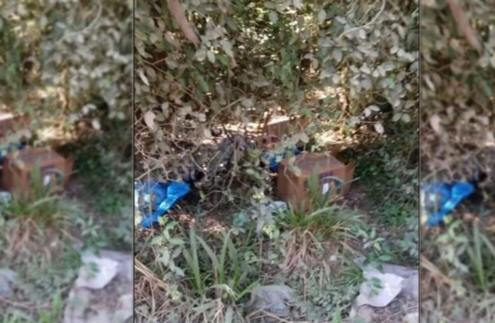 Brasil: Buscan a un argentino por el crimen de dos niños en un "ritual satánico"