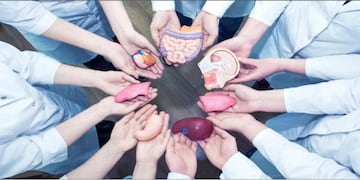 Día Nacional de la donación de órganos\u002E