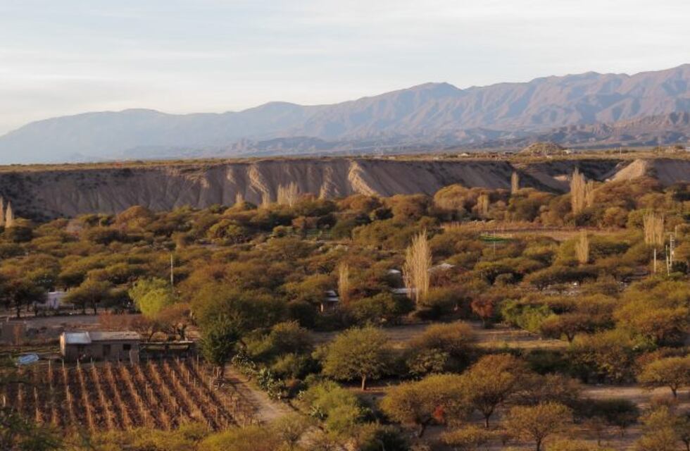 Cavaba un pozo en su casa y encontró cuatro cráneos en una vasija antigua