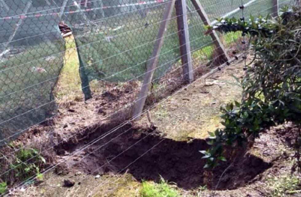 Entraron por un túnel a robar en un barrio privado y desvalijaron una casa