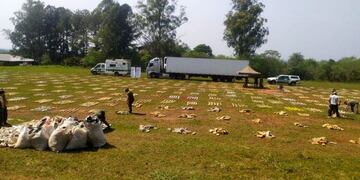 San Ignacio: detienen camión con más de nueve toneladas de marihuana