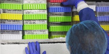 Tratamiento con plasma para el coronavirus: el 80% se recuperó en Santa Fe\u002E (EFE)